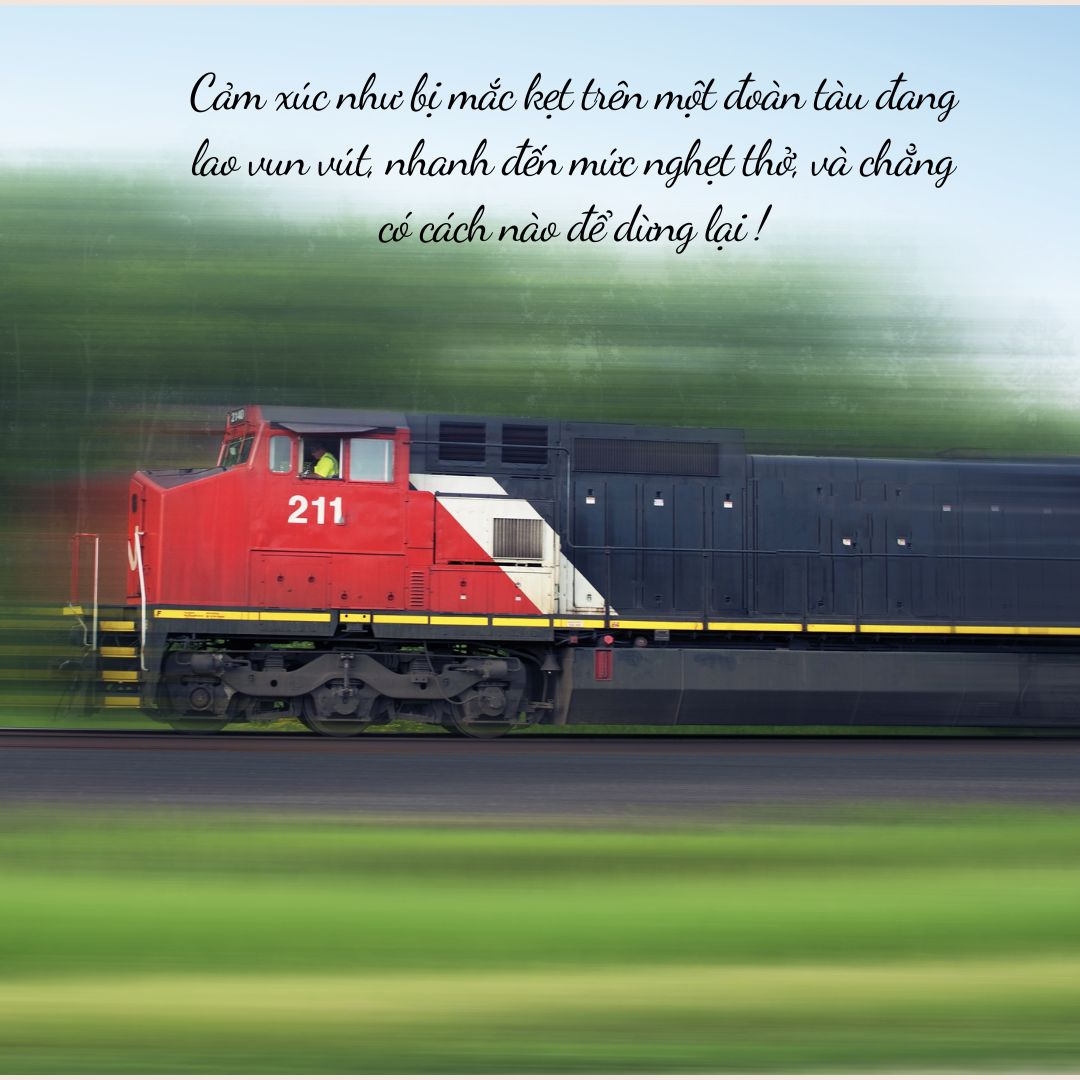 Cảm xúc như con tàu lao vút không thể dừng lại.