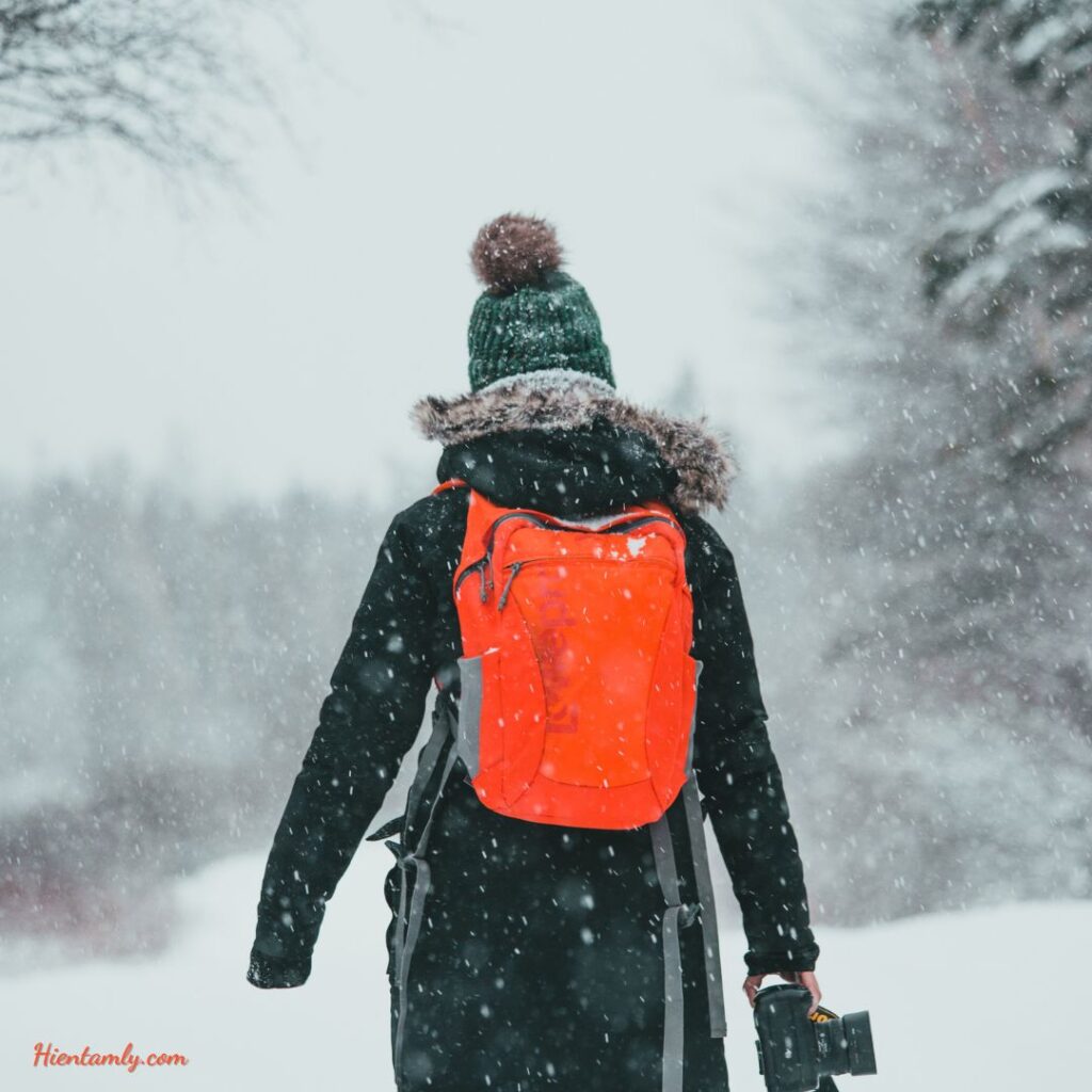 Cho bản thân cơ hội tận hưởng vẻ đẹp của mùa đông.